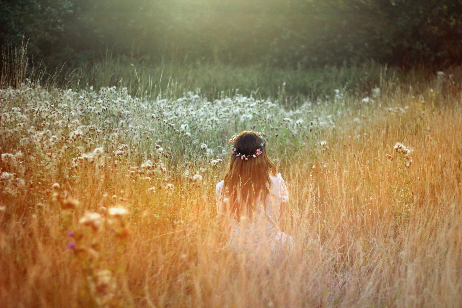 Девушка с каштановыми волосами сосет хуй на траве до камшота 
