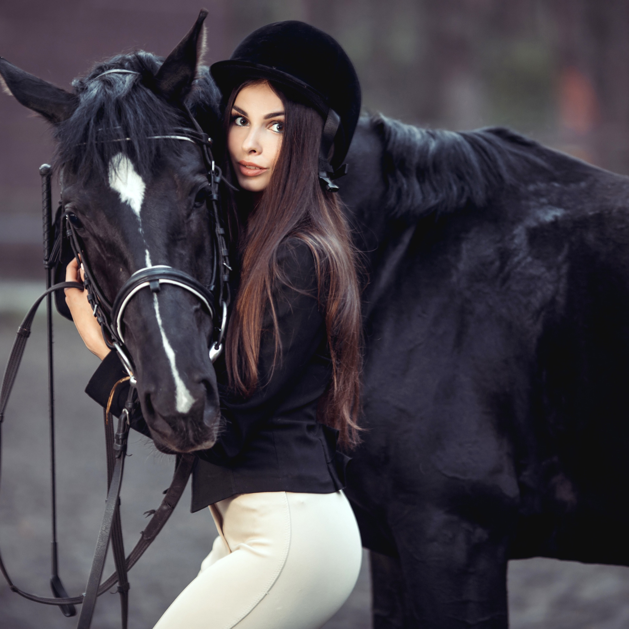Фото Лошадей С Девушкой Скачать
