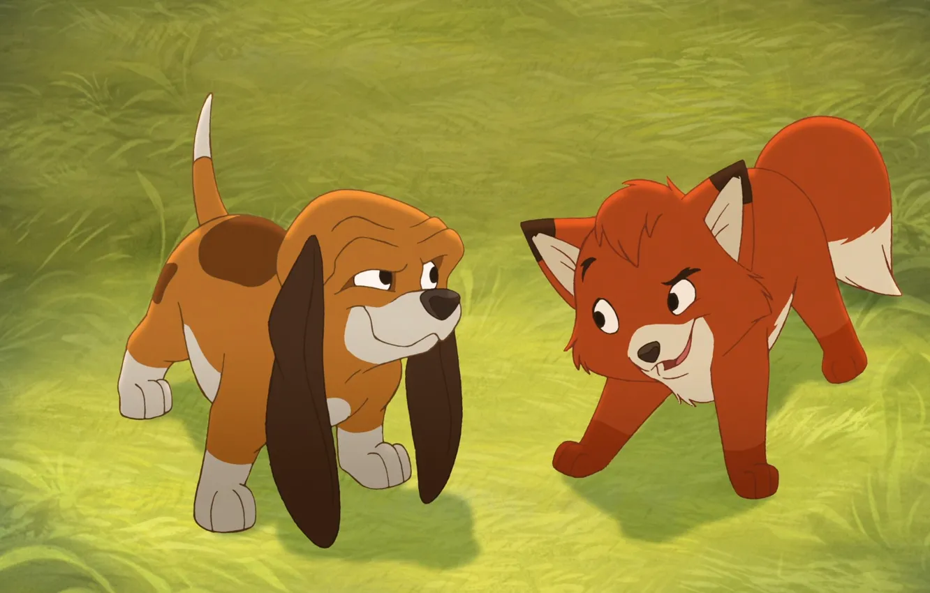 Fox and the hound sex video