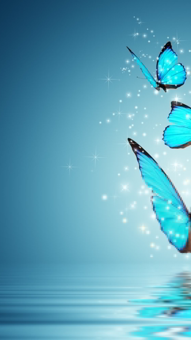 Download wallpaper butterfly, background, blue, magic, Wallpaper, butterfly,  mood, wallpaper, magic, widescreen, butterfly, background, full screen, HD  wallpapers, widescreen, section animals in resolution 640x1136