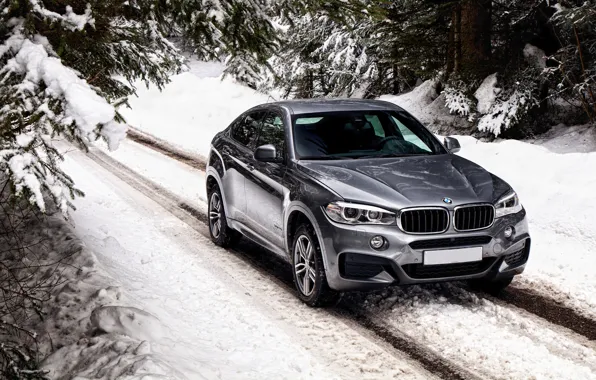 Picture winter, snow, BMW, BMW, xDrive, UK-spec, F16, 2015, Sport Package