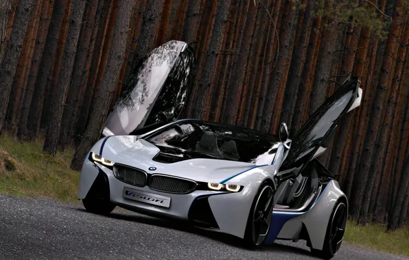 Picture Concept, BMW, the concept, Vision, beautiful, the front, powerful, EfficientDynamics