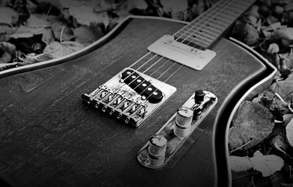Picture style, guitar, black and white, strings, case, tool, music