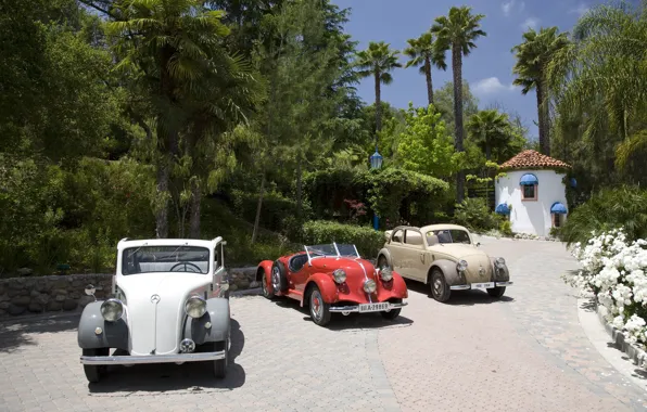Picture exotic, classic, cars, Mercedes-benz, classic