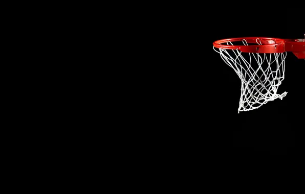 Picture mesh, black, ring, basketball