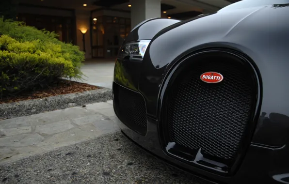 Picture black, Bugatti, Veyron, exotic, hypercar