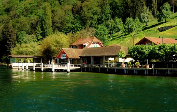 Picture trees, lake, shore, Switzerland, pier, slope, houses, Lucerne, Lake Lucerne, Bürgenstock, Bürgenstock