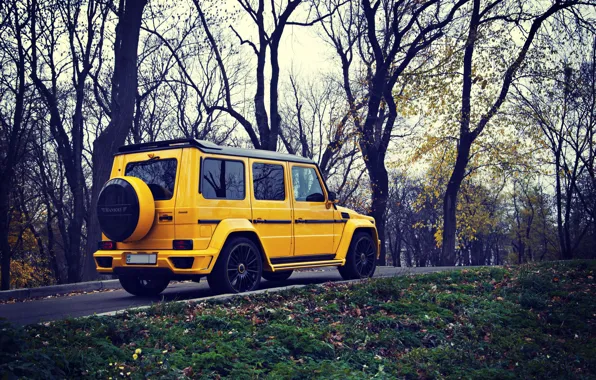 Picture Yellow, Autumn, Mercedes, Mercedes Benz, SUV, G63, MANSORY GRONOS