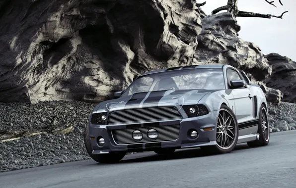 Picture Shelby, GT500, Mustang, muscle car, Ford, Ford Mustang GT500
