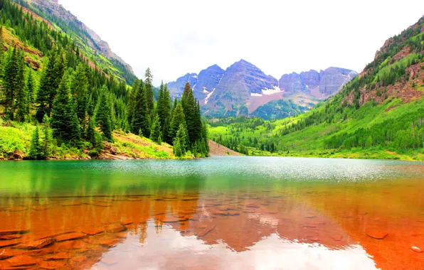 Picture forest, water, mountains, lake, stones, rocks, the bottom, gorge, USA, Colorado, Maroon Bells