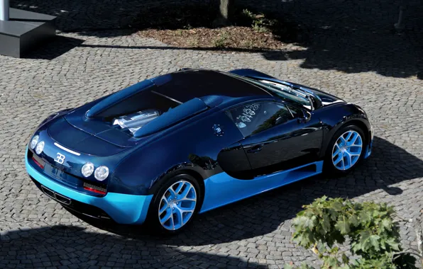 Picture blue, Bugatti, veyron, supercar, supercar, Bugatti, blue, Veyron, grand sport, vitesse