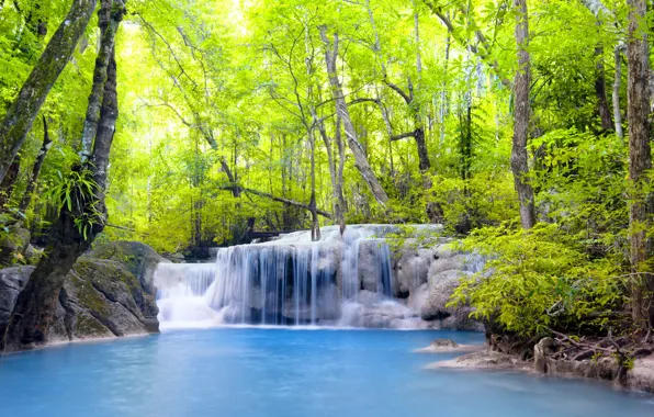 Picture forest, river, waterfall, forest, river, landscape, waterfall, emerald