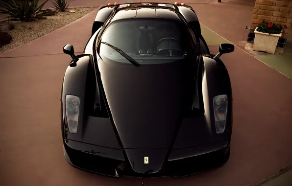 Picture black, Ferrari, supercar, supercar, Ferrari, black, enzo, front, Enzo