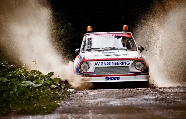 Picture squirt, puddle, rally, rally, safety car