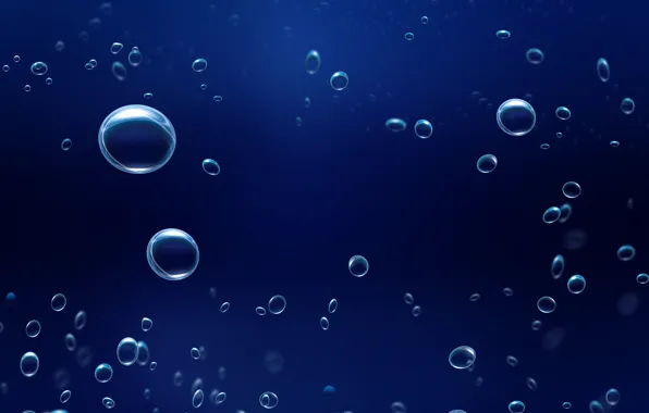 Picture water, drops, macro, abstraction, bubbles, drop, minimalism, bubble, wet