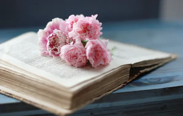Picture flowers, book, pink, page, old, clove