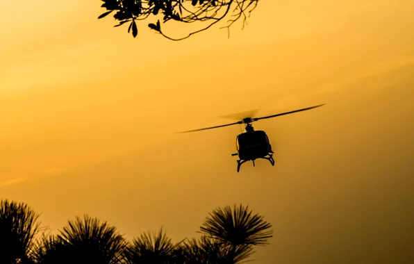 Picture flight, nature, dawn, spinner, silhouette, helicopter, screws, helicopter, wallpaper., beautiful background, beautiful background