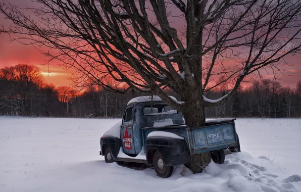 Picture winter, snow, sunset, tree, Canada, Ontario, Canada, pickup, Ontario, 1951 Ford F1