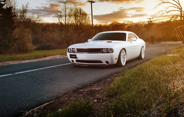 Picture white, dodge challenger, muscle car, Challenger
