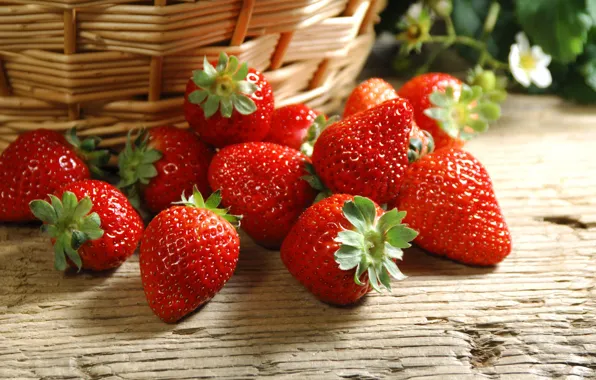 Picture Wallpaper, strawberry, berries