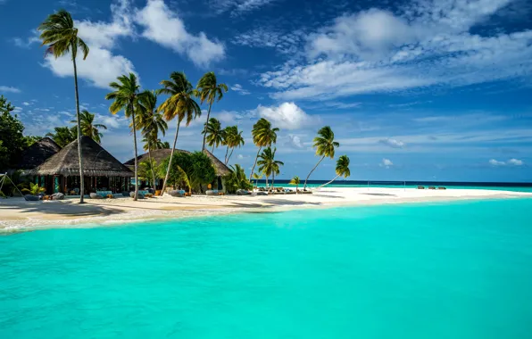 Picture sand, sea, the sky, clouds, tropics, palm trees, coast, horizon, The Maldives, Bungalow