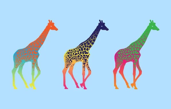 Picture minimalism, giraffe, colorful, giraffe, pop art