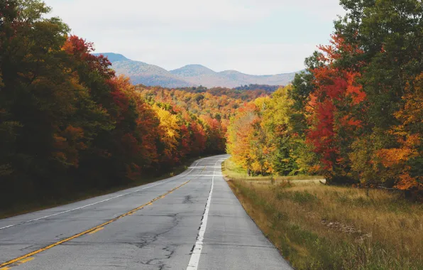 Picture road, autumn, asphalt, trees, hills