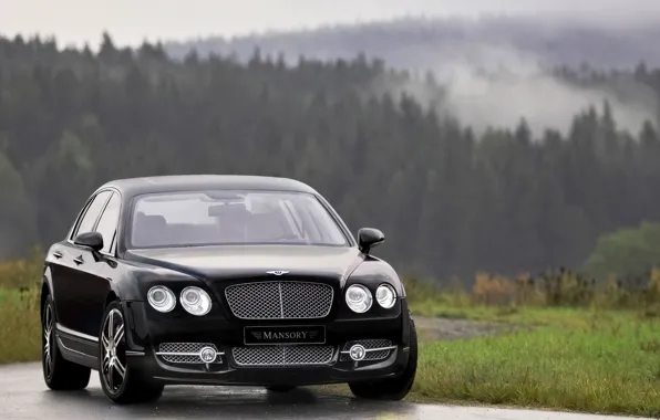 Picture Auto, Bentley, Black, Machine, Sedan, Lights, flying, the front, Suite