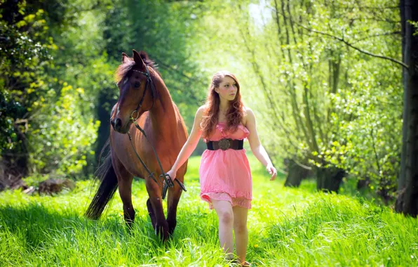 Picture summer, girl, horse
