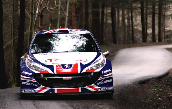 Picture Auto, Sport, Machine, Logo, Race, Peugeot, The hood, Peugeot, Lights, WRC, Rally, Rally, The front