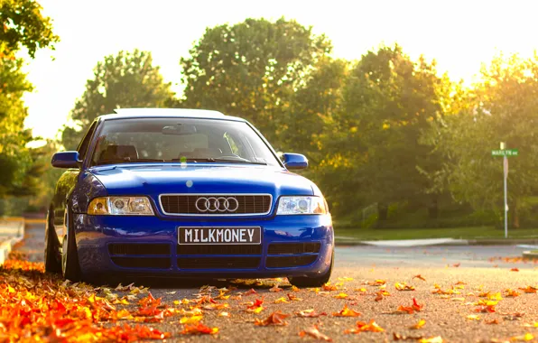 Picture autumn, Audi, Audi, foliage, before, blue, blue