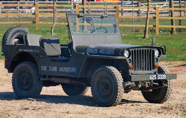 Picture car, military, Jeep, WW2, “Willis”