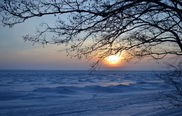 Picture snow, sunset, Winter, ice, the evening, Bay, the snow