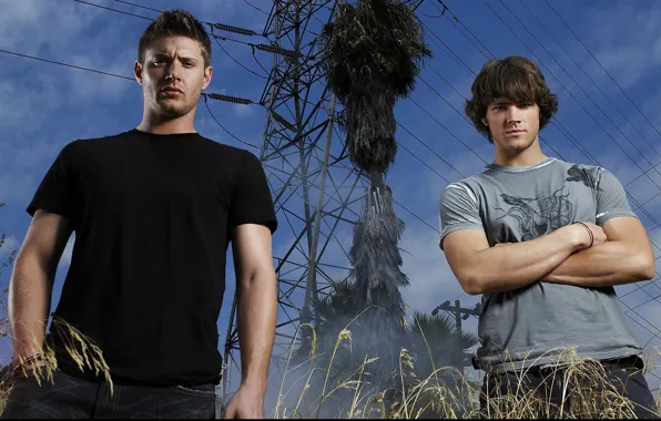 Picture actor, male, Supernatural, Jensen Ackles, Supernatural, Sam, Dean, Jensen Ackles, over the padalecki jared, Jared …
