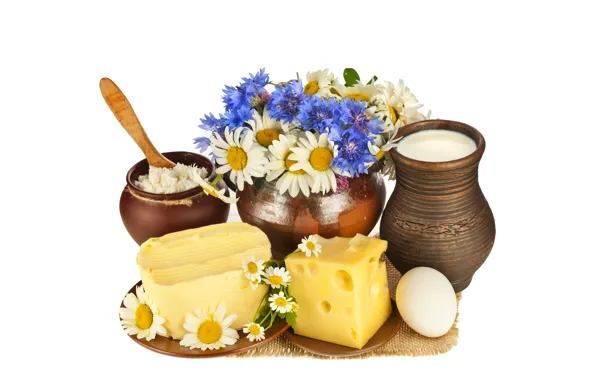 Picture flowers, egg, oil, chamomile, bouquet, cheese, milk, saucers, cheese, Mat, pot, appetizing, pitchers