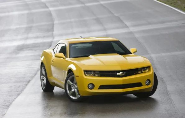 Picture yellow, Chevrolet, Camaro