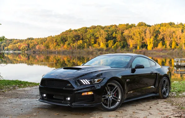 Picture Mustang, Ford, Mustang, Ford, 2014, Roush Stage 2