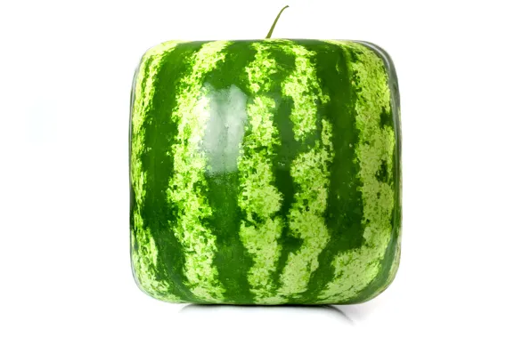 Picture rendering, square, watermelon, cube, square watermelon