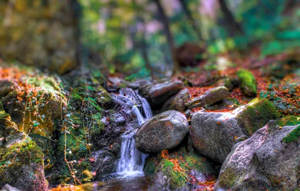 Picture autumn, forest, trees, river, stones, rocks, stream, special effect