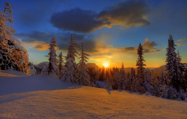 Picture winter, forest, the sky, clouds, snow, sunset, nature, tree, beauty
