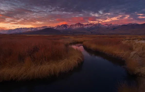 Picture grass, california, sunset, mountains, usa, owens river