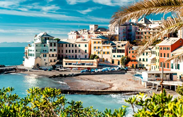 Picture sea, trees, landscape, nature, shore, coast, building, home, boats, pier, Italy, Italy, Cinque Terre, Cinque …