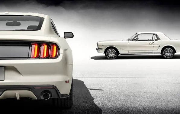 Picture Mustang, Ford, 1965, White, 2015, 50 Year Limited Edition