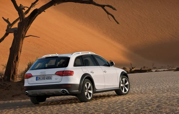 Picture white, Audi, desert, Allroad