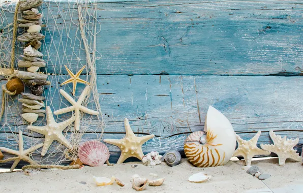 Picture sand, beach, stars, shell, beach, wood, sand, marine, seashells, starfishes