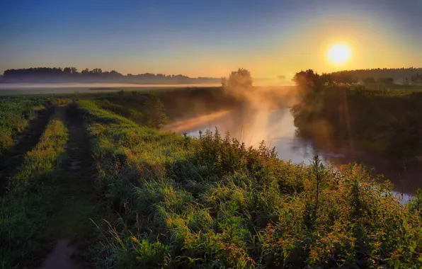 Picture road, the sun, sunset, nature, fog, river, photo, dawn