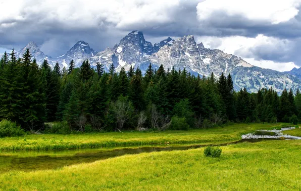 Picture forest, trees, mountains, nature, stream, river, Grand Teton National Park