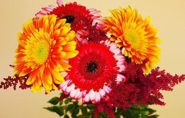 Picture flowers, bright, bouquet, beautiful