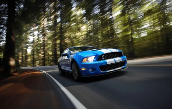 Picture speed, Shelby, GT500, muscle car
