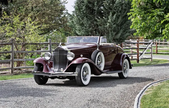 Picture Roadster, Roadster, 1932, Packard, Packard